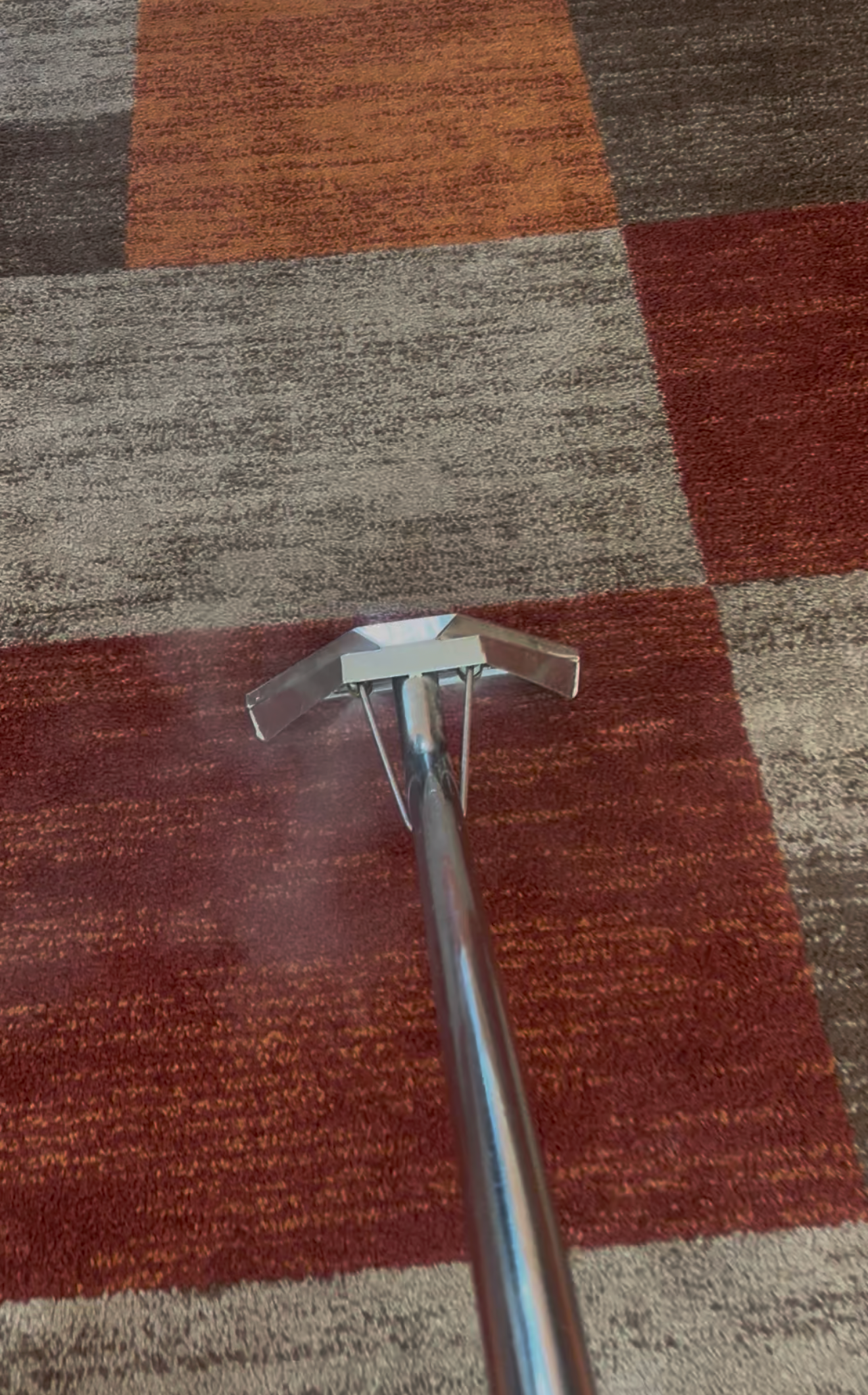 A carpet cleaner steaming a patterned carpet.